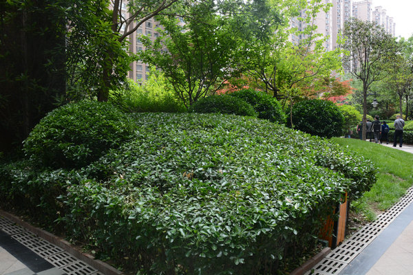 DSC_1954.JPG