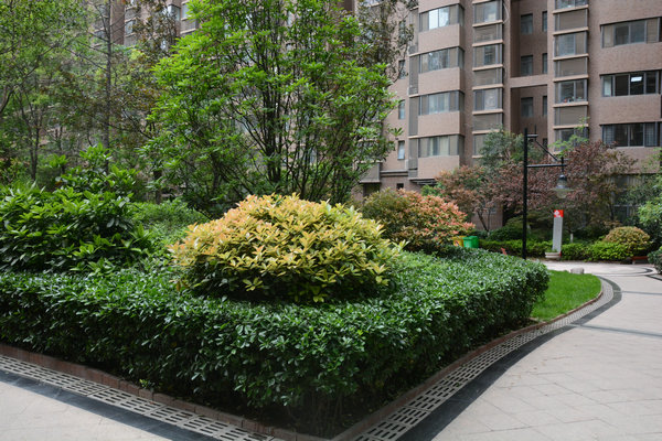 DSC_1955.JPG