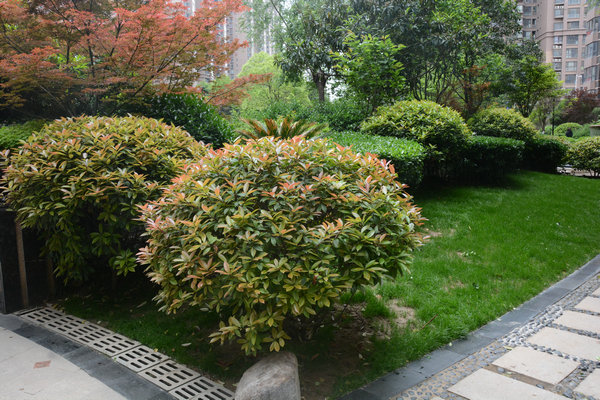 DSC_1957.JPG